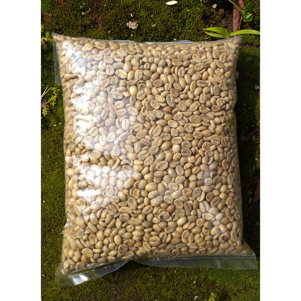 

Kopi Green Bean Arabika Sindoro – Fullwash Process