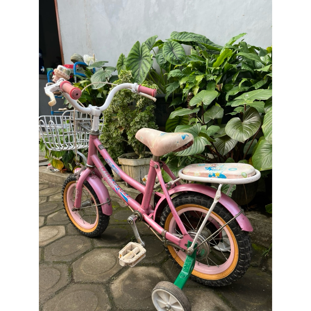 Sepeda anak cewek Pink Roda Tiga plus Keranjang