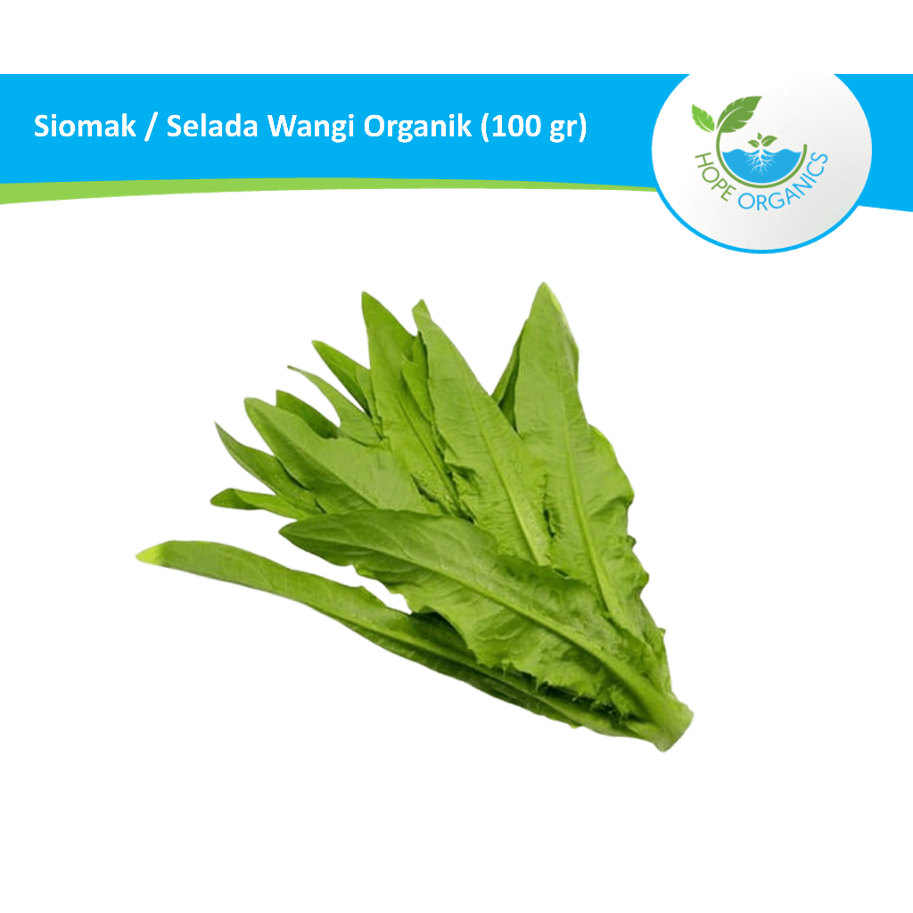 

Siomak / Selada Wangi Organik Segar 100 gr