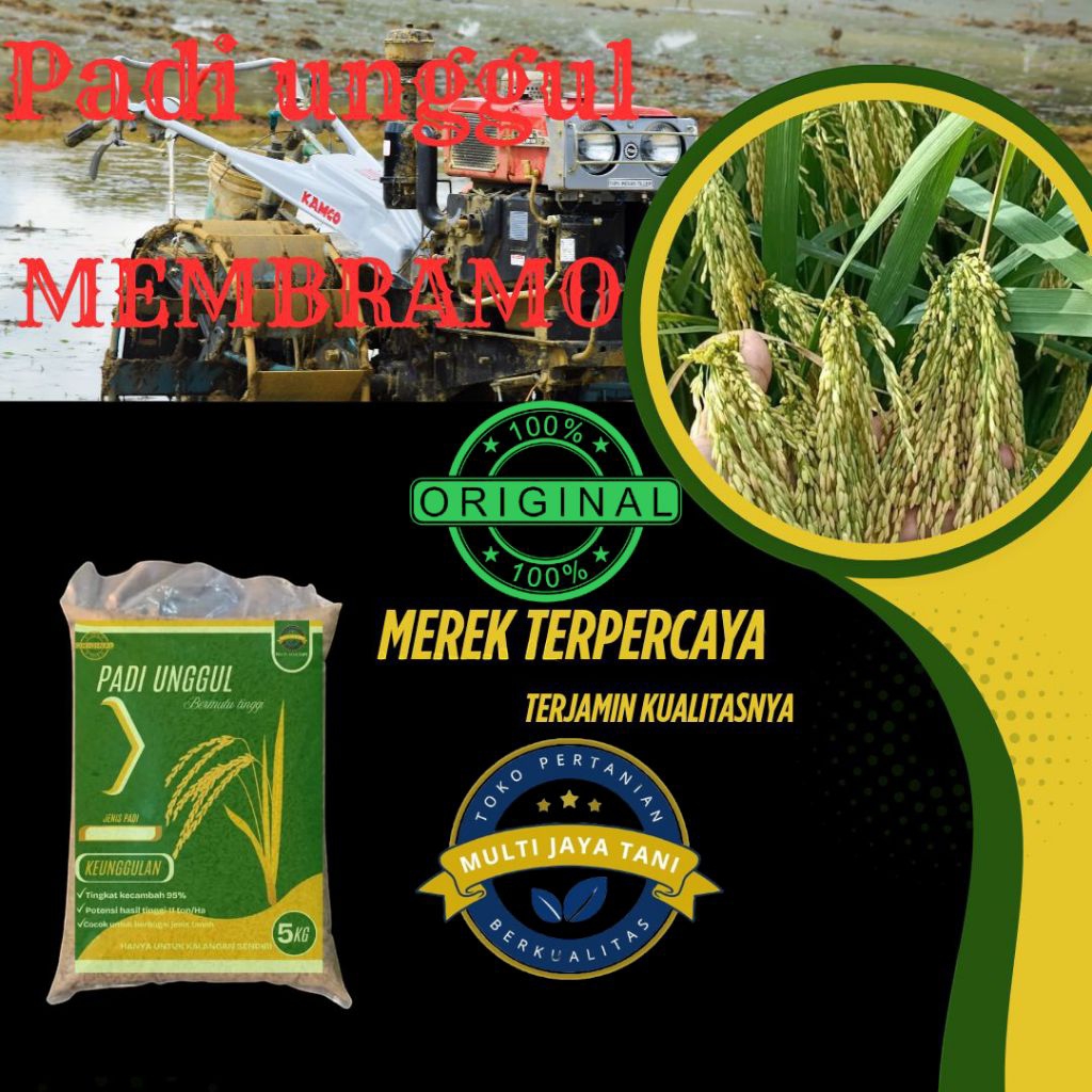 BENIH PADI UNGGUL MEMBRAMO kemasan 5kg kualitas premium