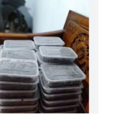

madu mongso 1pack isi 15