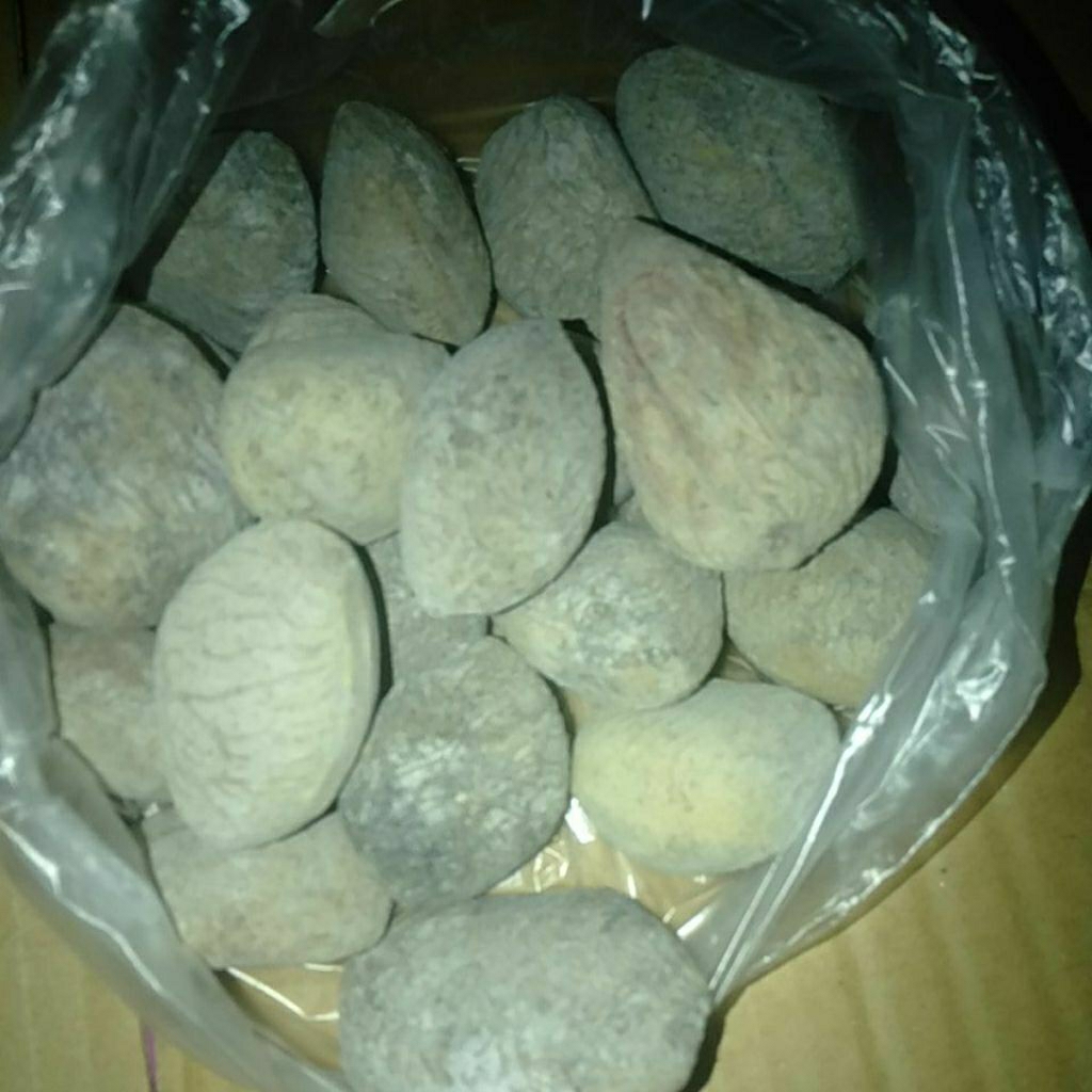 

Biji Kepayang / Kluwek bahan rawon