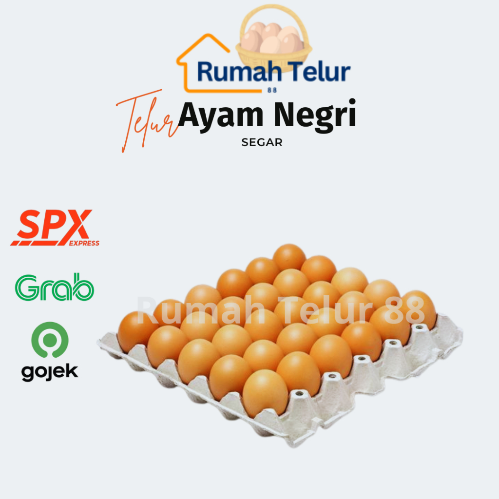 

Telur Ayam Negri Fresh/Telur Ayam Negri Segar 1 Tray isi 30 Butir
