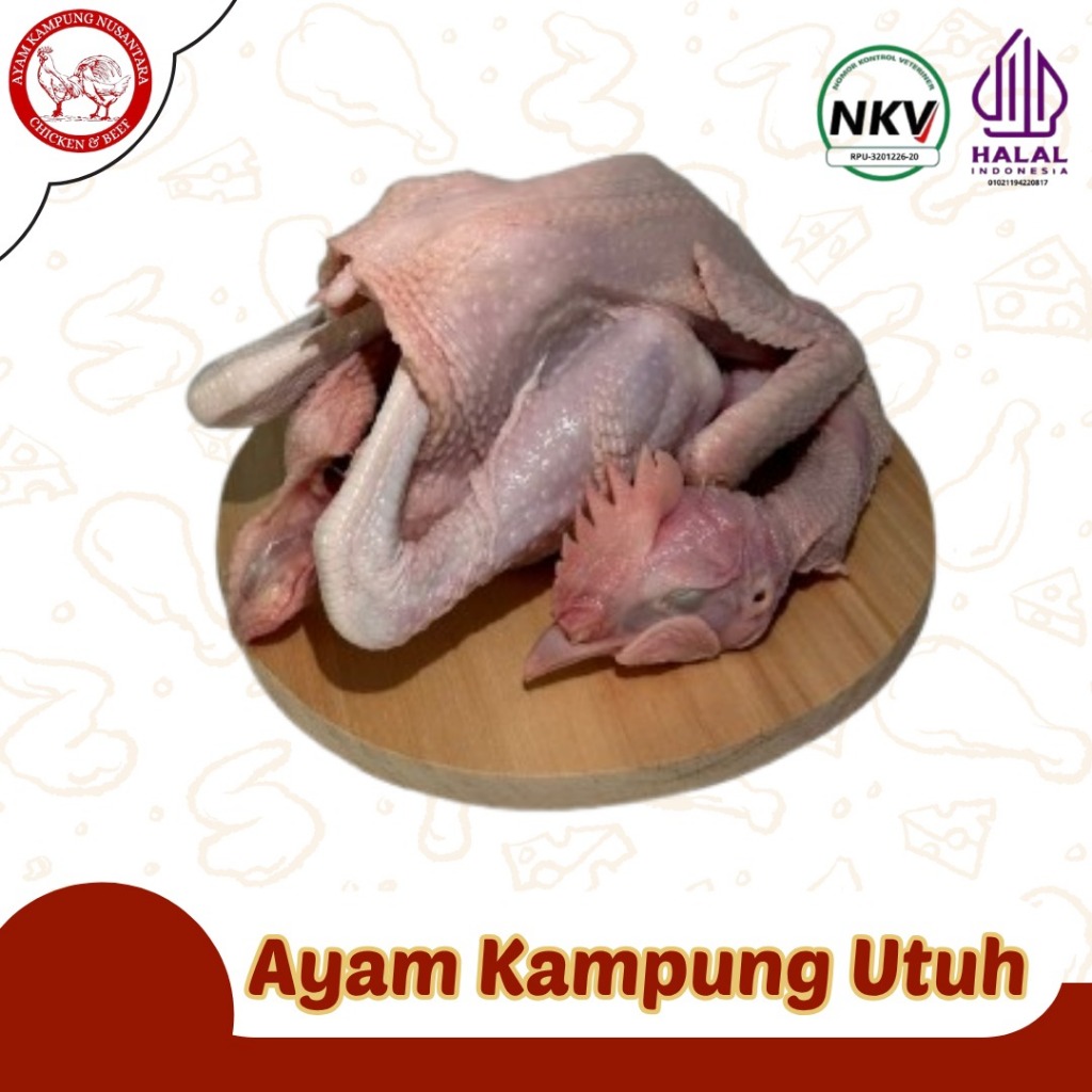 

AYAM KAMPUNG UTUH ASLI - KARKAS AYAM KAMPUNG FRESH (Halal & siap dikirim)