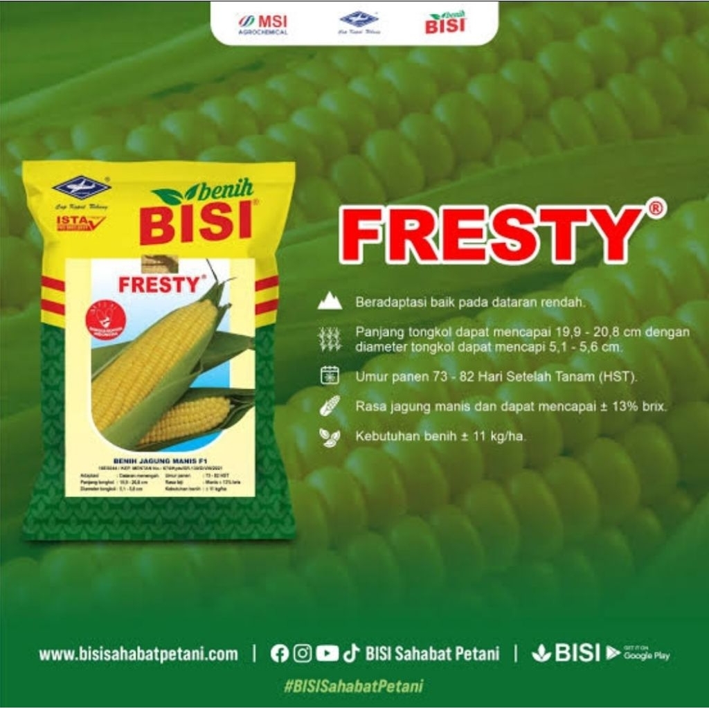 Benih Jagung Manis Hibrida FRESTY 250gr Cap Kapal Terbang - Hasil Panen Tinggi, Tahan Simpan, Klobot