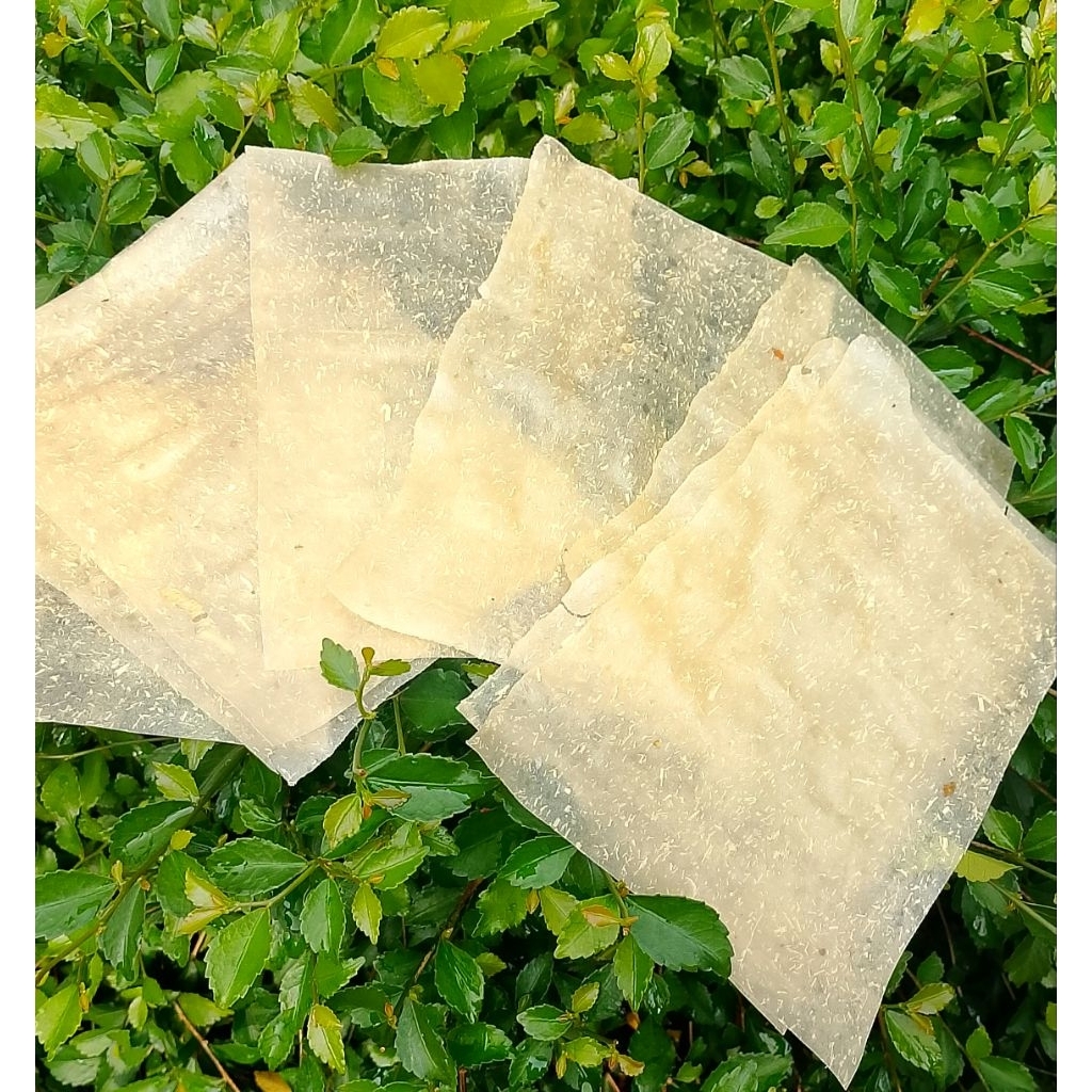 

OPAK SINGKONG LEMBARAN