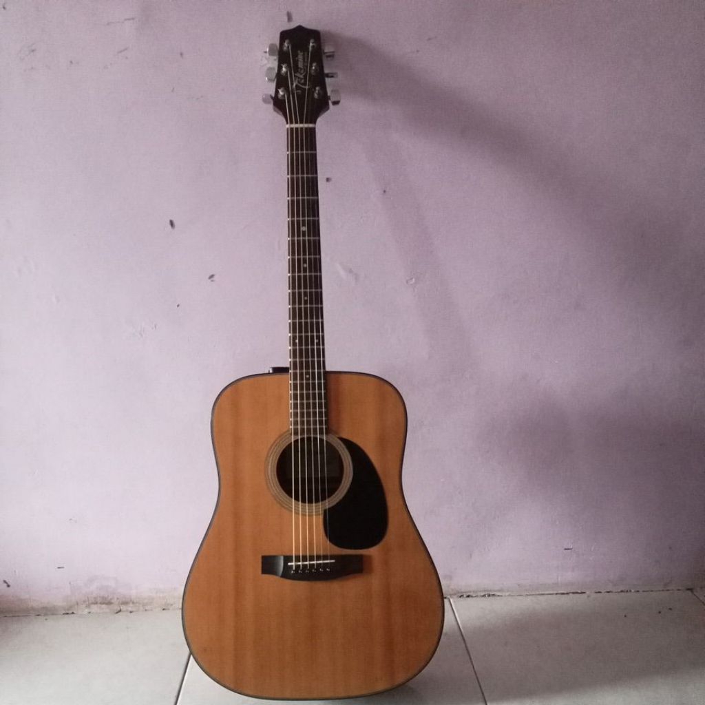 Takamine D-20 original (akustik)