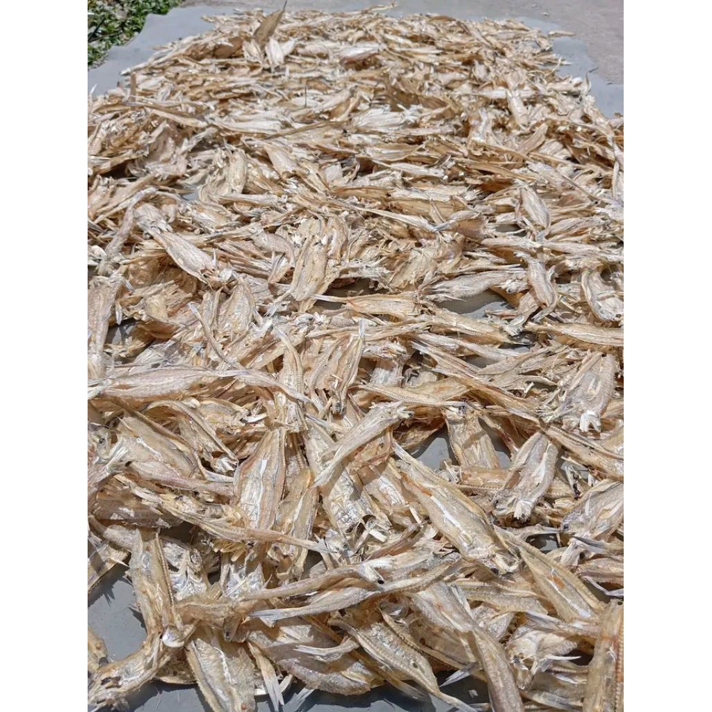 

ikan asin, gereh, gesek 1 ons