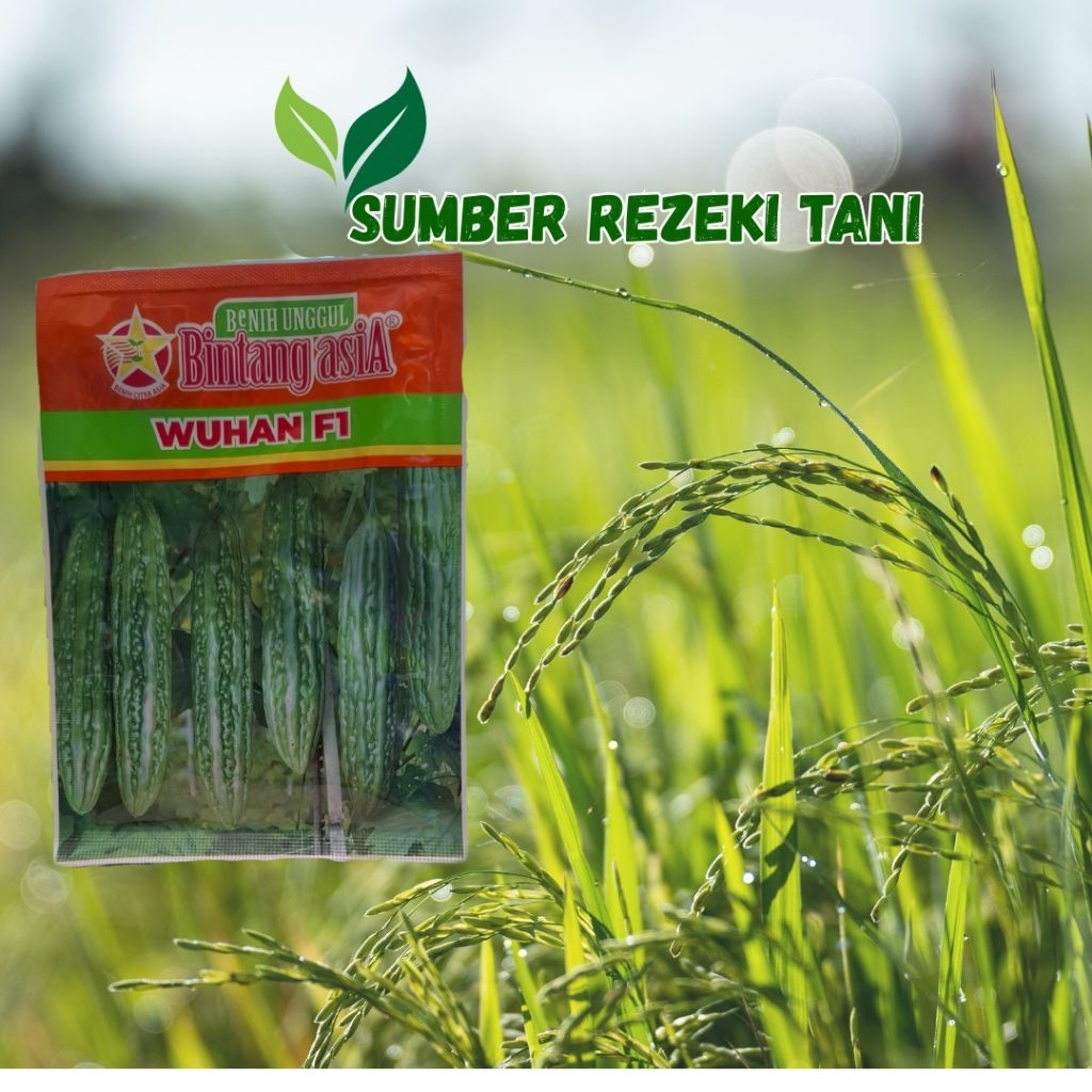 Benih Pare Wuhan F1 Kemasan 10 gr