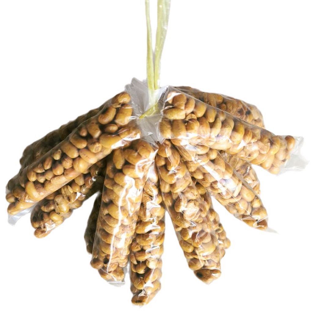 

kacang kedelai goreng bawang putih 1 ikat isi 12 bgks