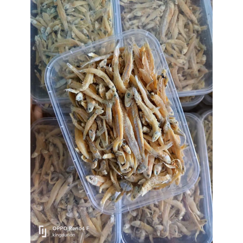 

Ikan Teri Jengki 228gr