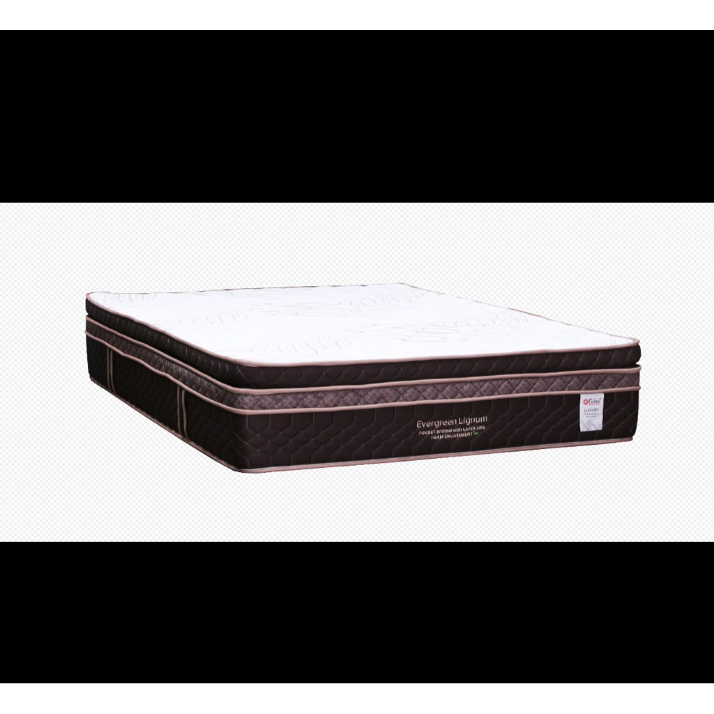 Springbed central latex Lignum t40cm jagonya pocket