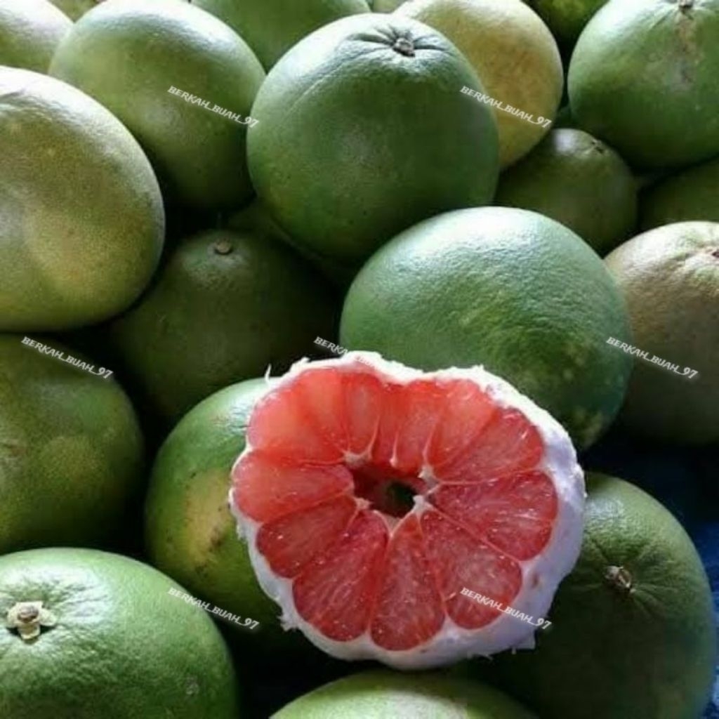 

jeruk pamelo madu muria asli tanpa biji 700-800g
