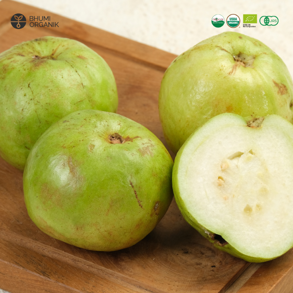 

Jambu Kristal Organik 500 g - Buah Organik Murah - Buah Organik Sehat - Buah Organik Premium