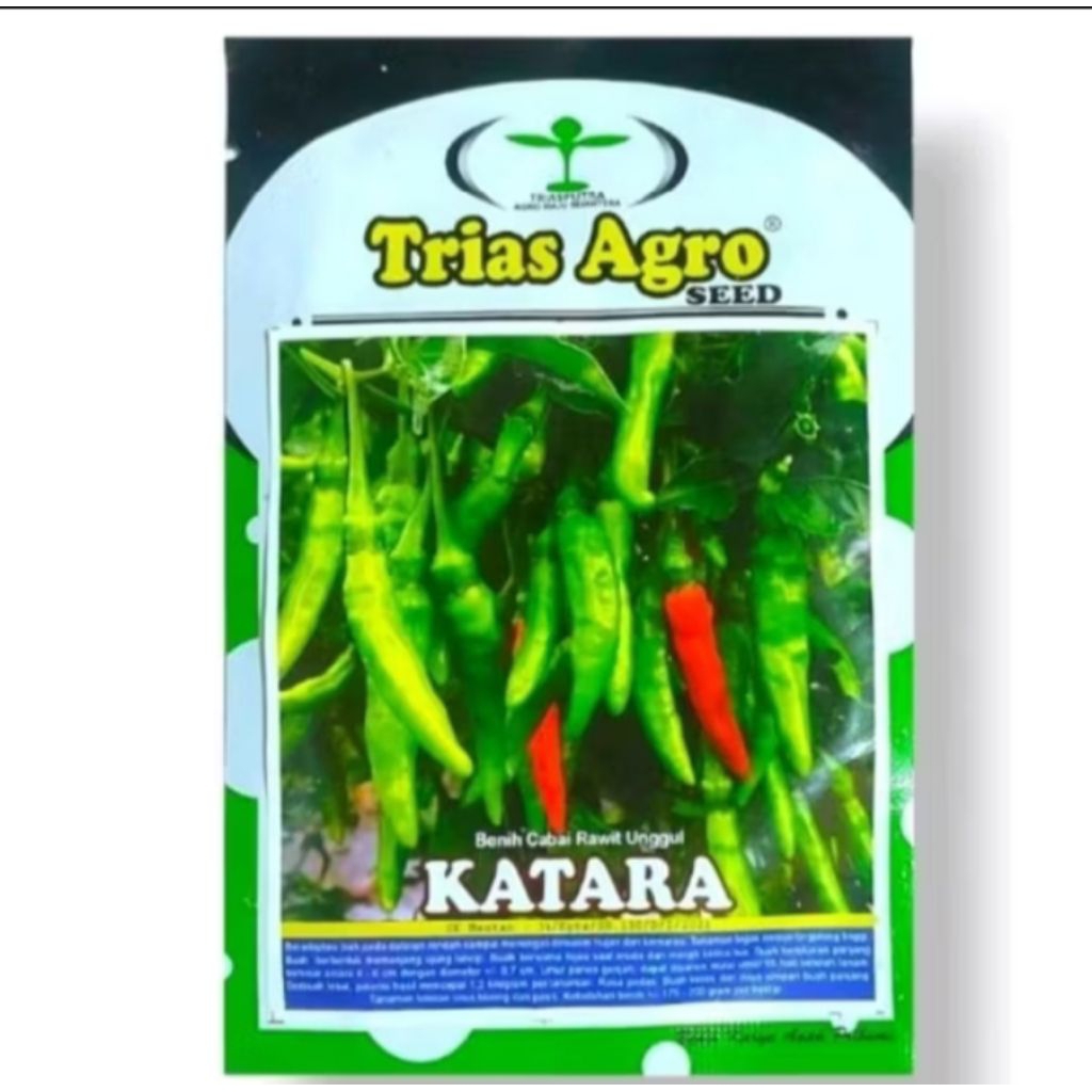 KATARA BENIH CABE RAWIT HIJAU MERUNDUK