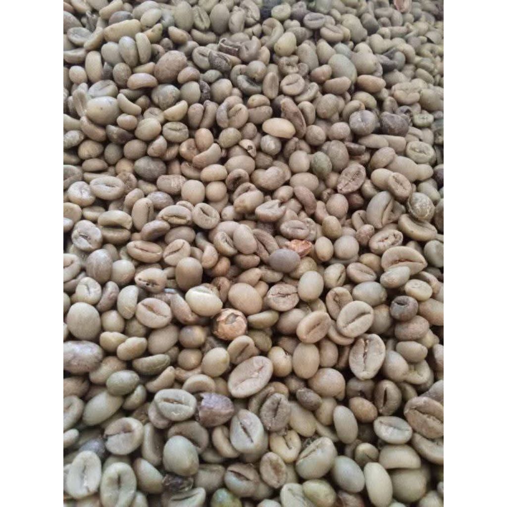 

biji kopirobusta/1kg81