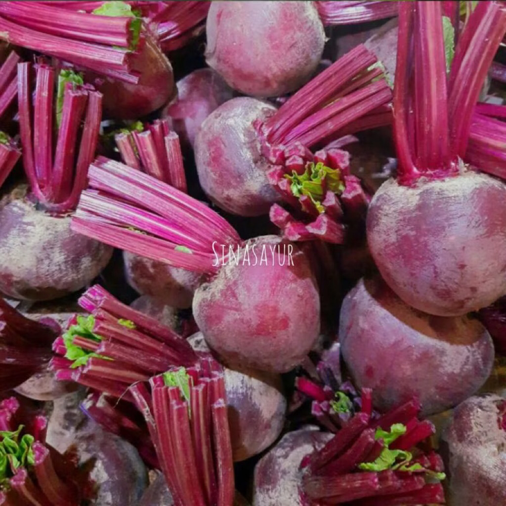 

Buah Bit Organik Super Murah