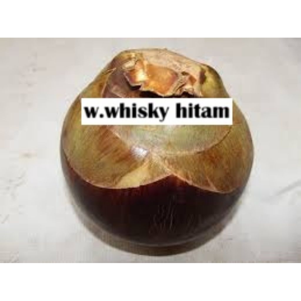 

kelapa (Wulung hitam)