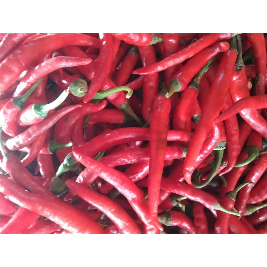 

CABE MERAH BESAR 250gr/1000gr