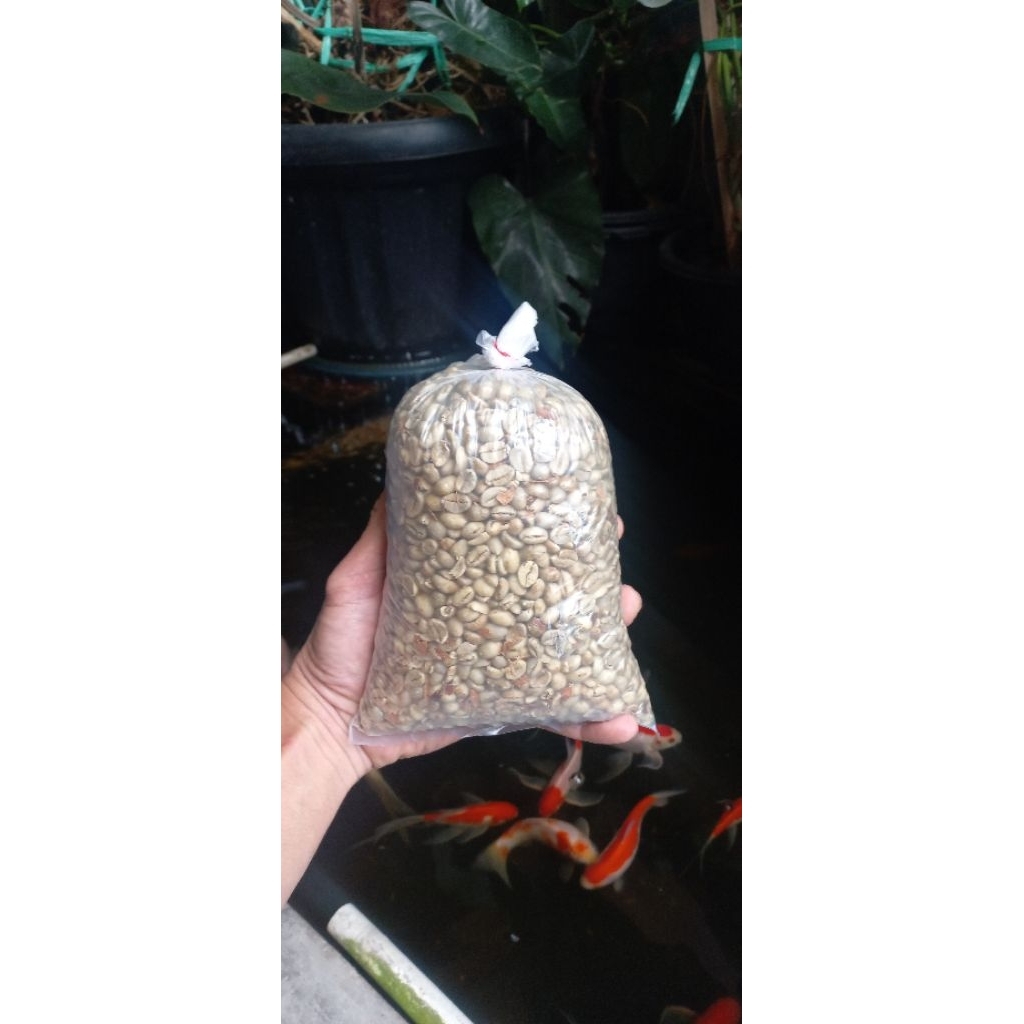 

Biji kopi arabika jenis7005