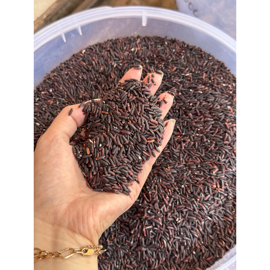 

Ketan Hitam Padang / Beras Ketan Hitam Repack