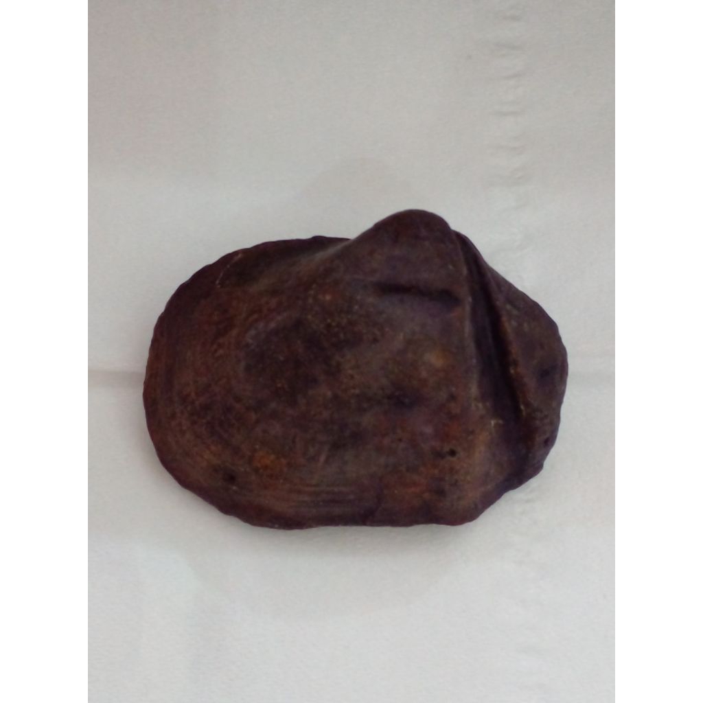 KIJING BUNGKEM NATURAL