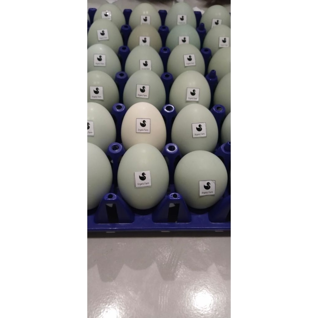 

telur asin