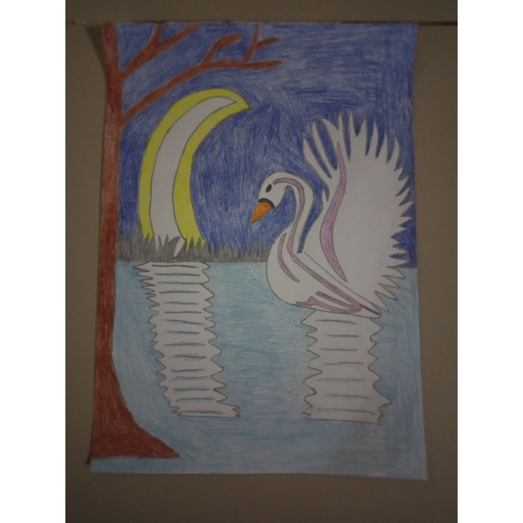 

Pemandangan Alam Di Malam Hari Dan Angsa