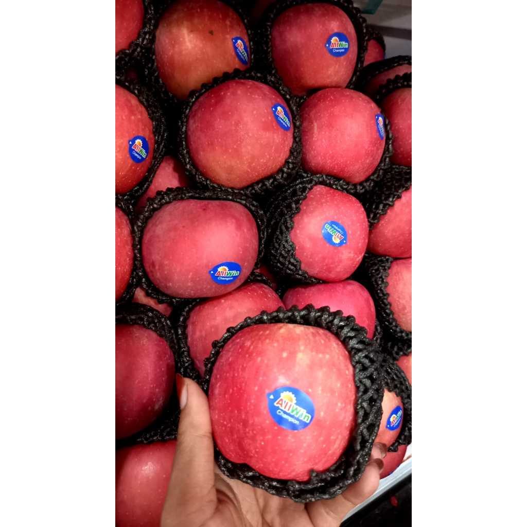 

Buah Apel Fuji Premium Segar Manis