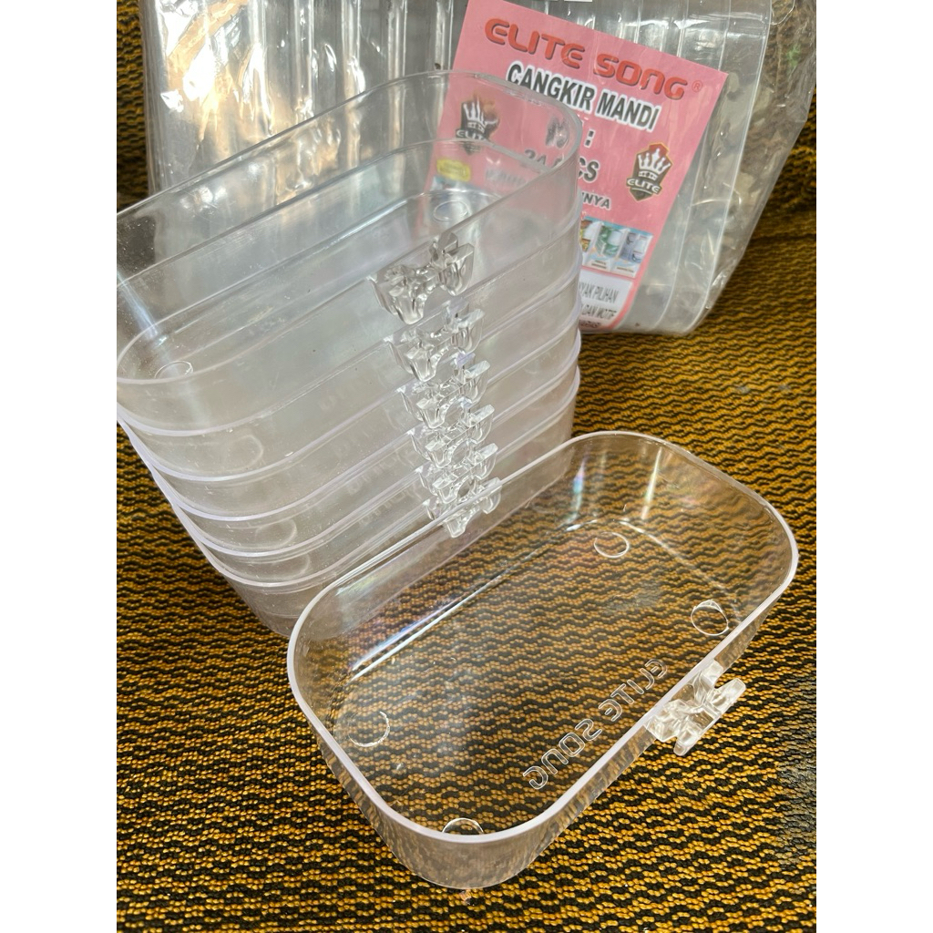 Cepuk mandi burung besar / Cepuk mandi murai