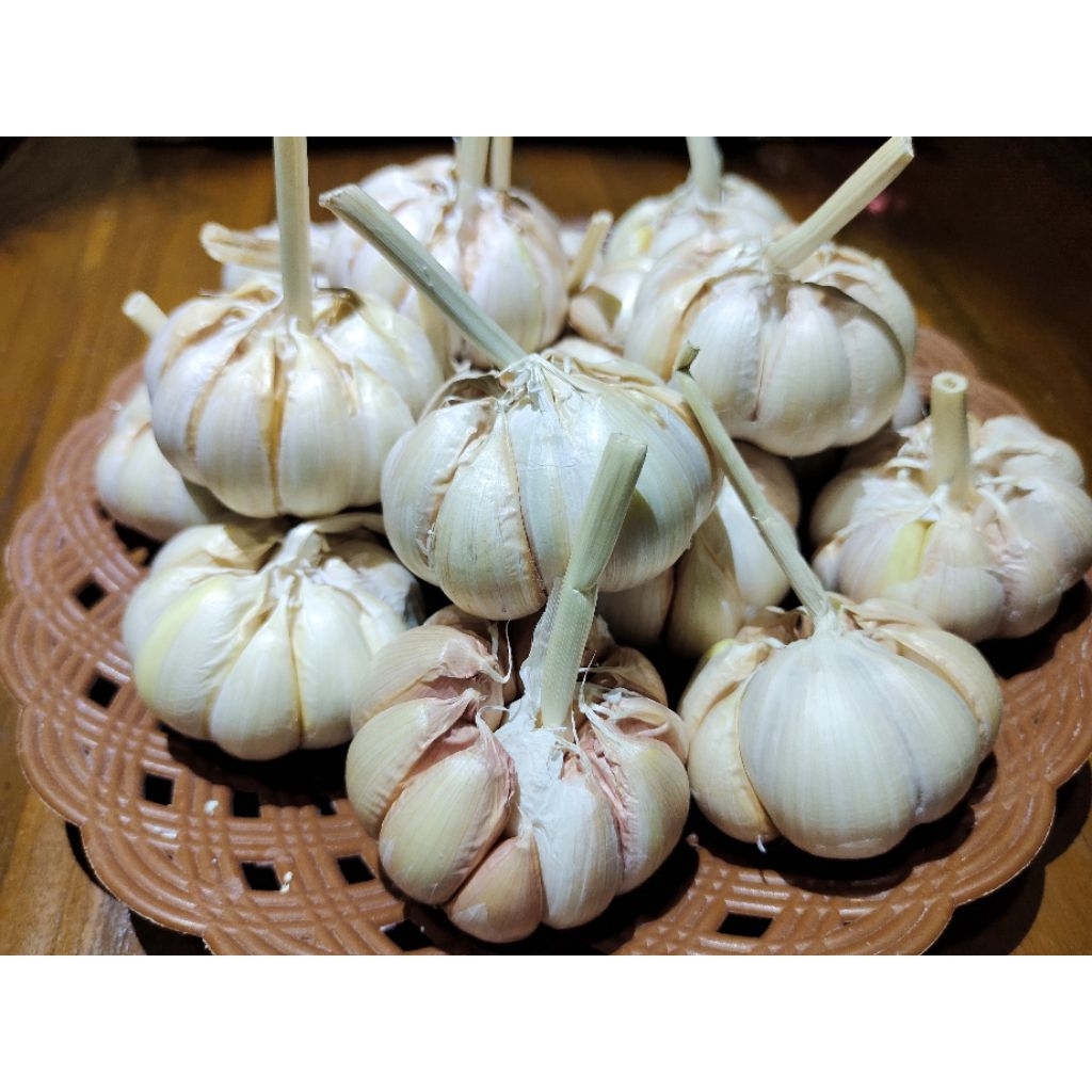 

Bawang Putih Sico Bersih 1 kg Kualitas Super(ukuran besar)
