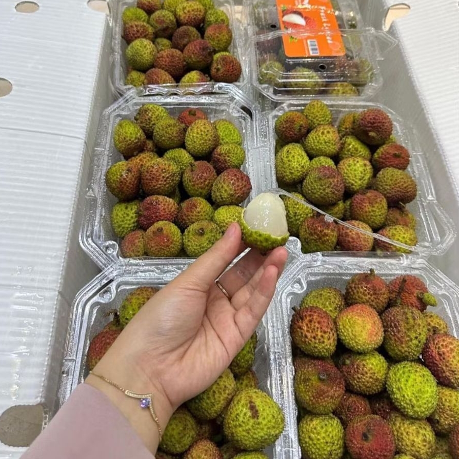 

buah rambutan perbox
