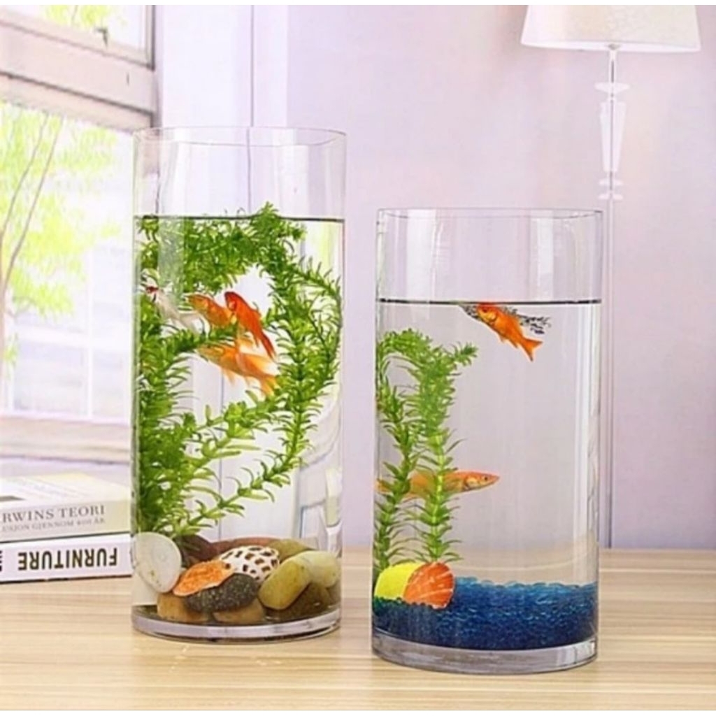 AQUARIUM TABUNG KACA/ AQUARIUM IKAN HIAS KECIL
