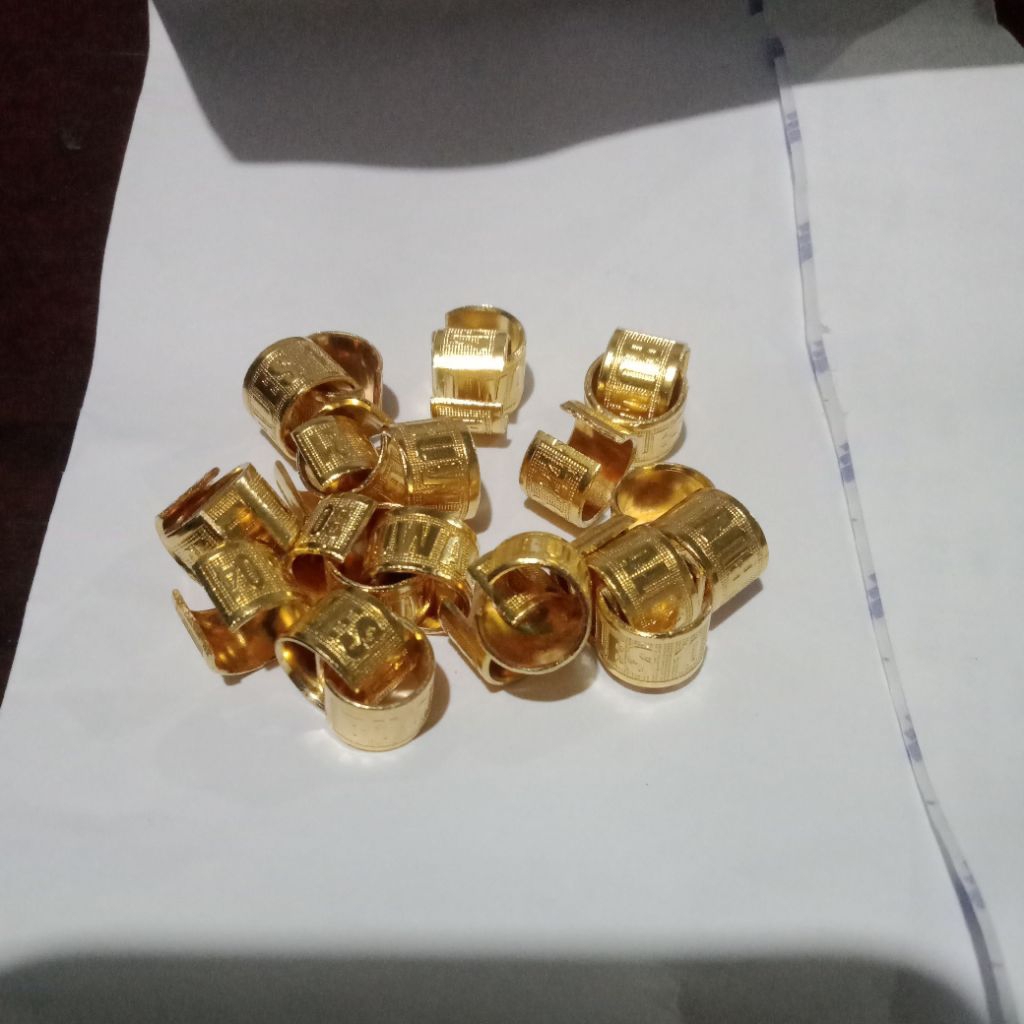 ring burung merpati dewasa