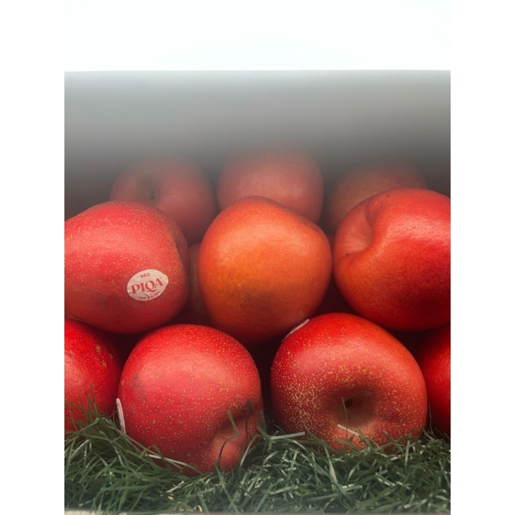 

Buah Pear Merah Piqa New Zeland Manis 1 Kg