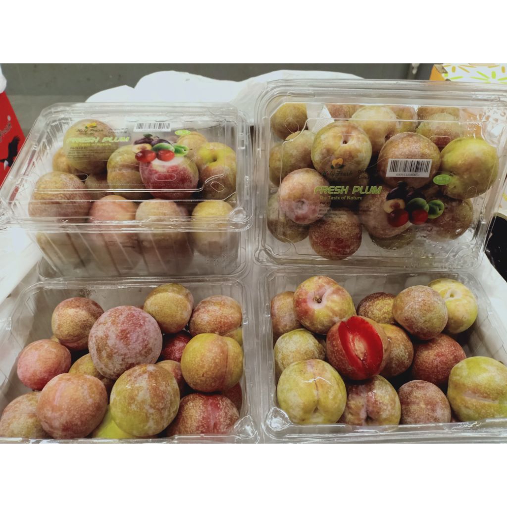 

Sugar Plum China (PACK)