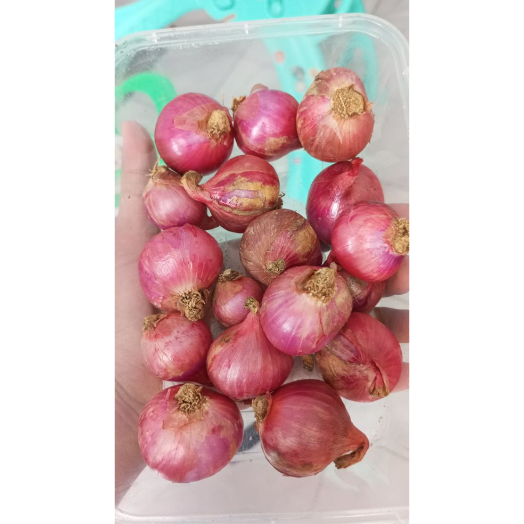 

bawang merah super 1/2kg besar kering