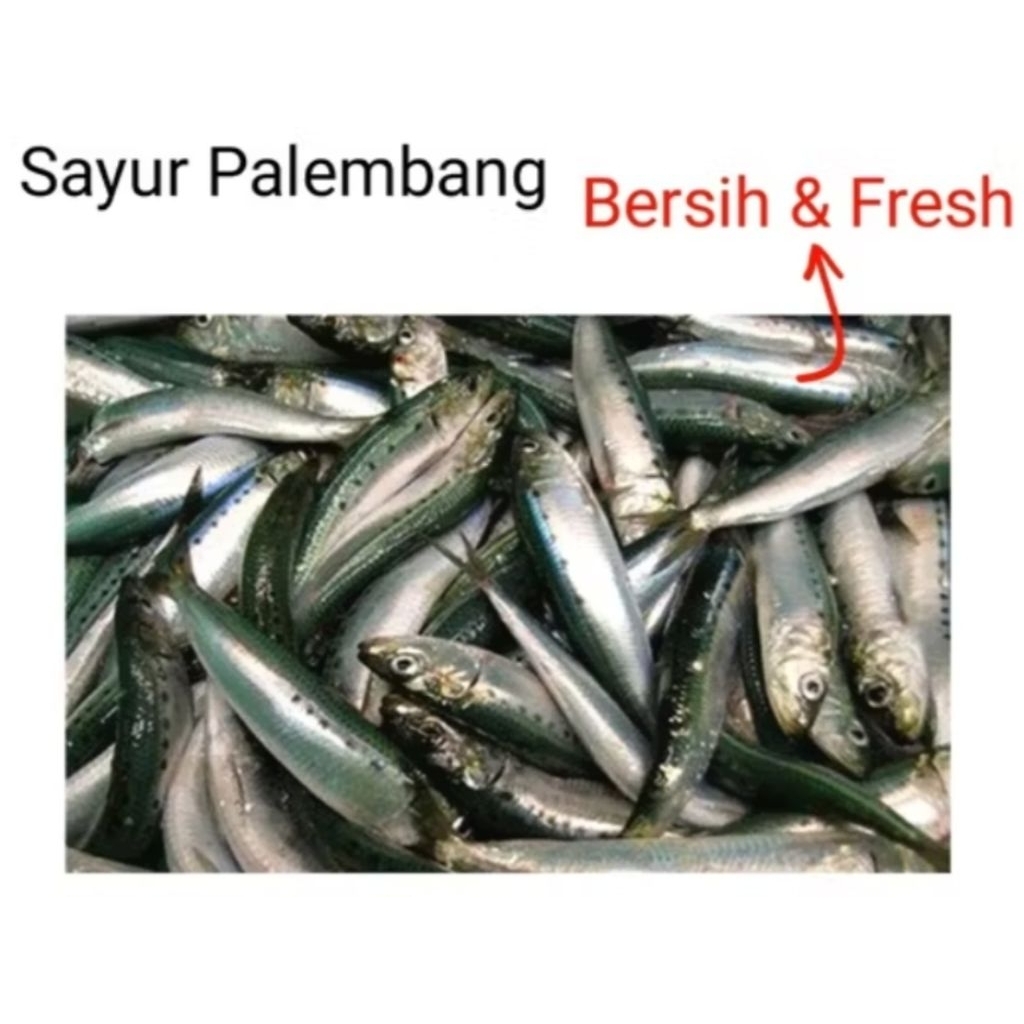 

IKAN SARDEN - Palembang