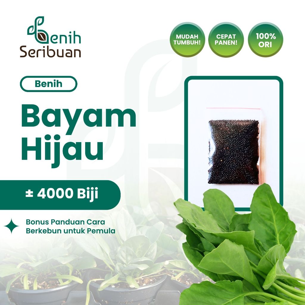 Benih Seribuan - 4000 Benih Sayuran Bayam Hijau