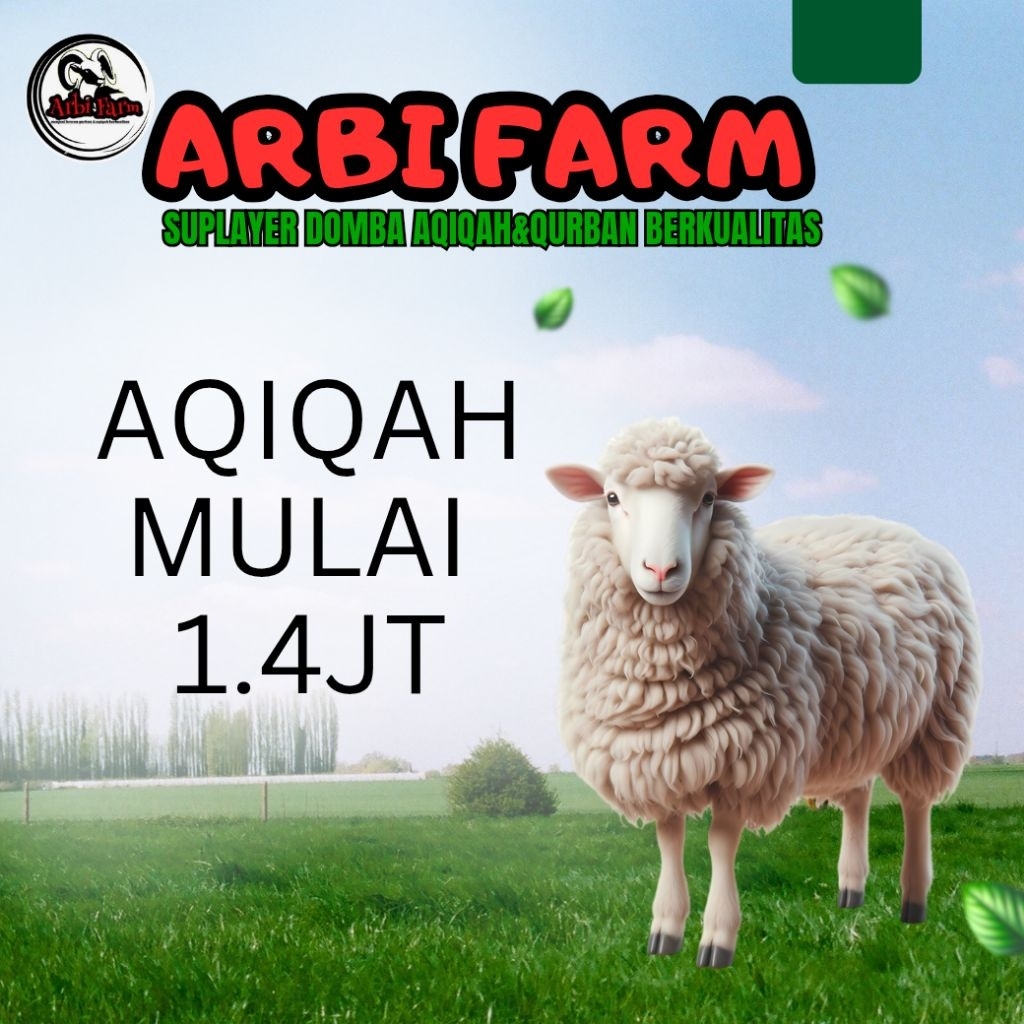 

domba aqiqah/nazar hanya domba+sembelih saja