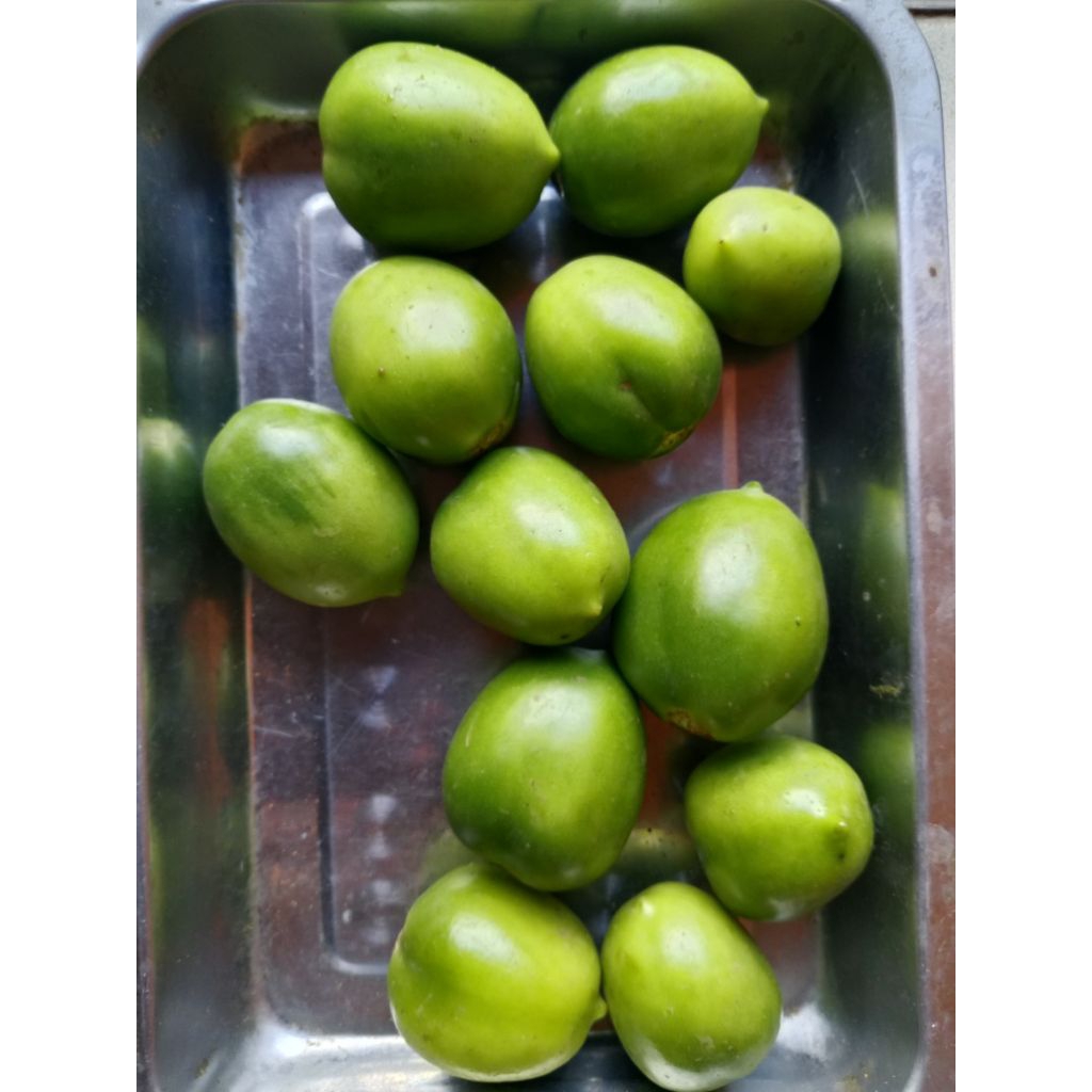 

tomat hijau sambal tomat hejo mang sayur