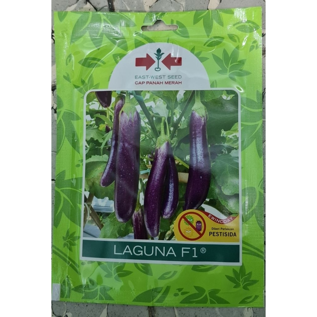BENIH TERONG UNGU Laguna f1 400 butir