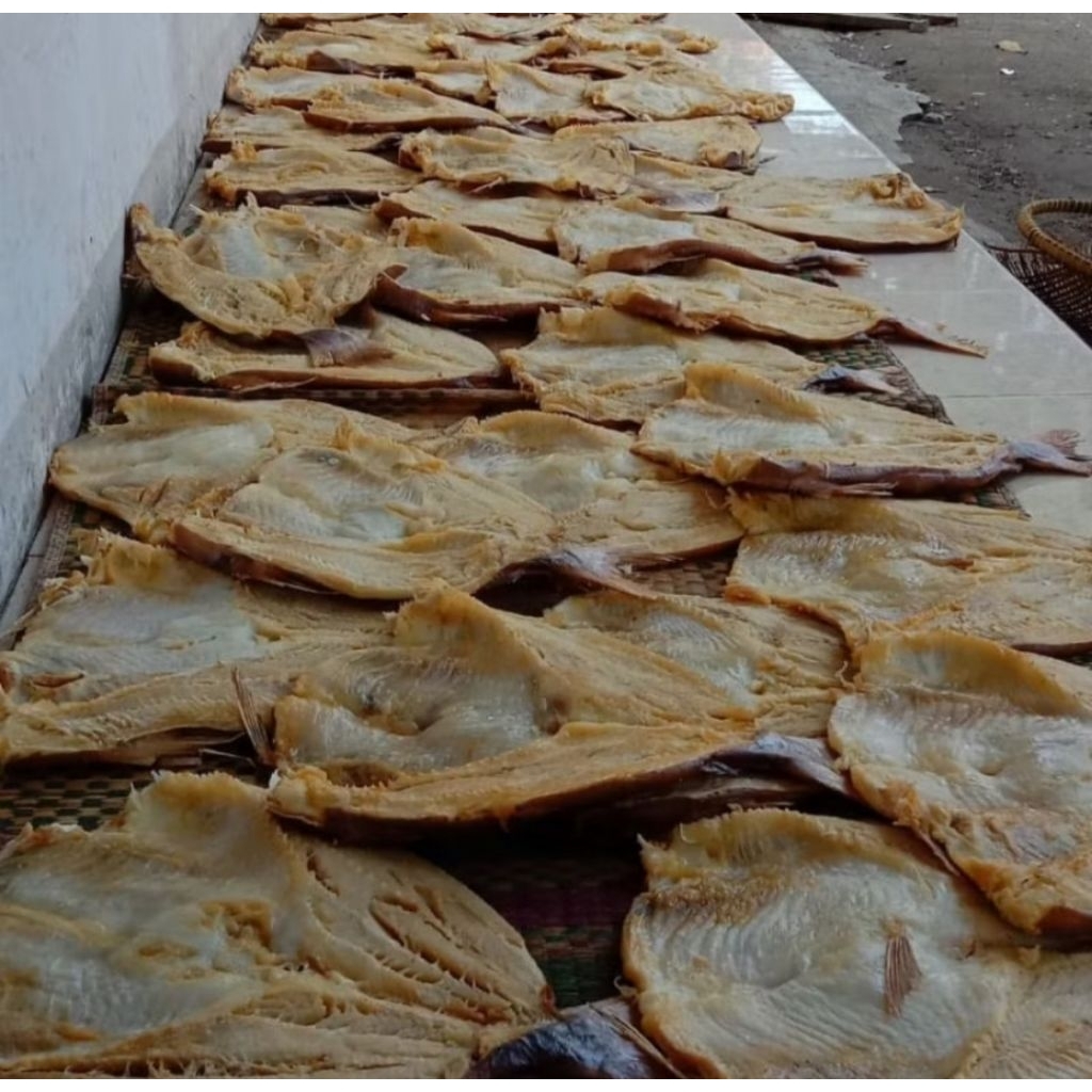 

Ikan Asin jambal roti super ngeprul Pangandaran 1 kg