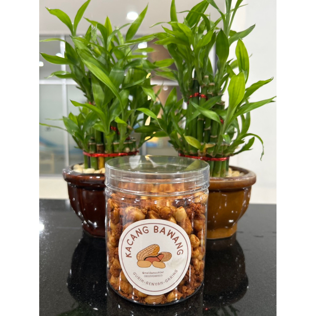 

kacang bawang medium