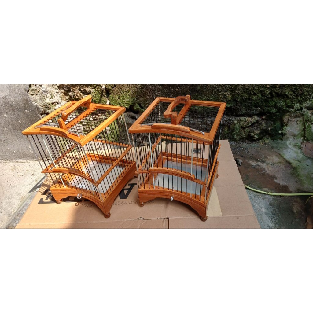 sangkar untulan sogon konin perci