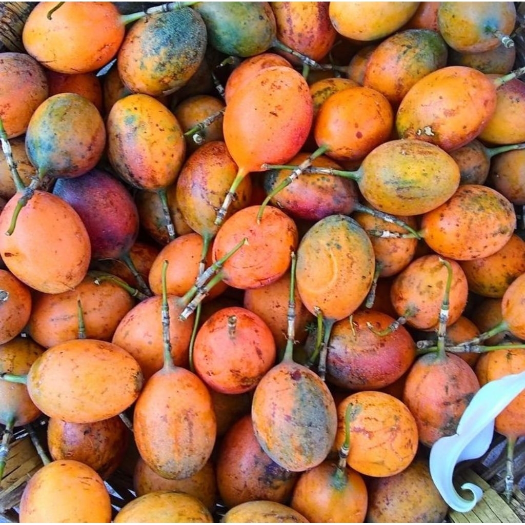 

BUAH SRIKAYA 1kg