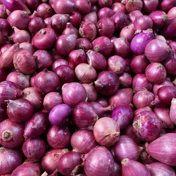 

Bawang Merah Peking India – Ukuran Besar, Harga Hemat | 100g 250g 500g 1kg