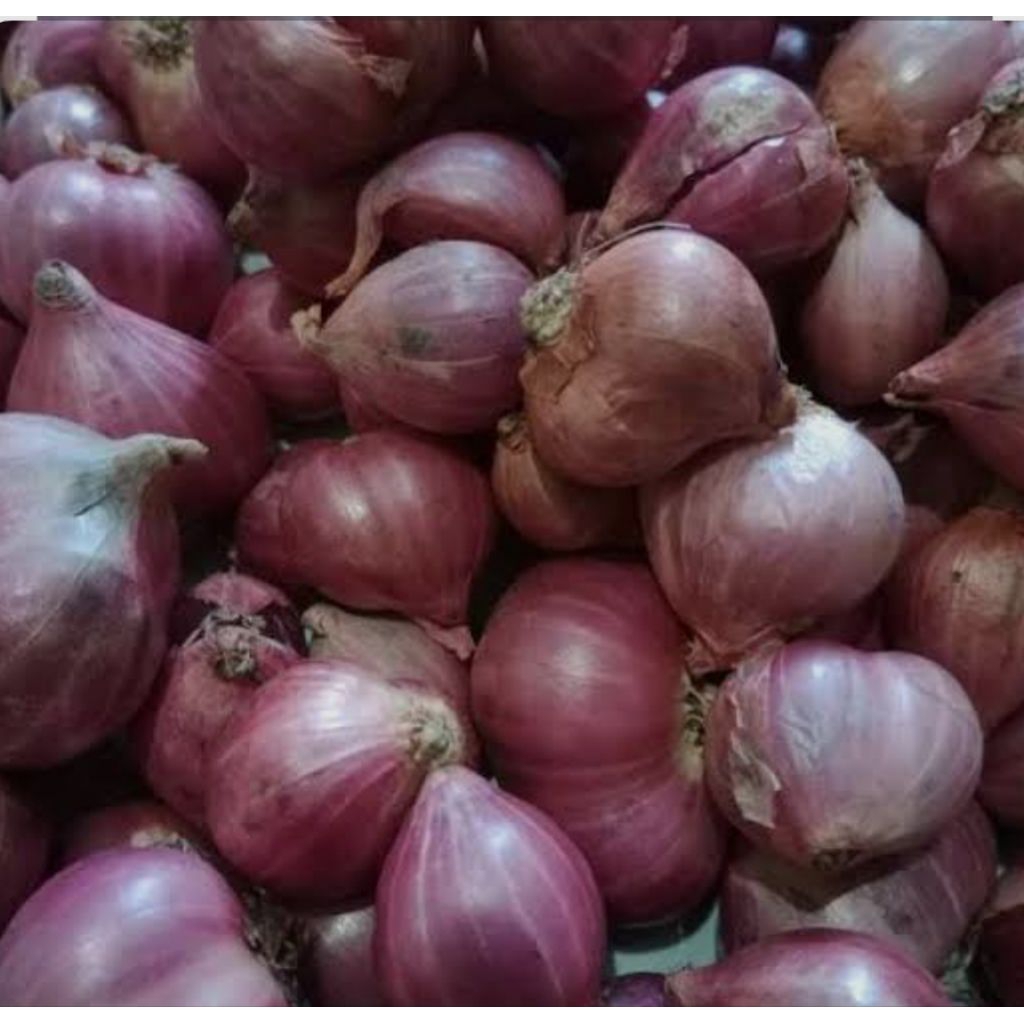 

Bawang merah