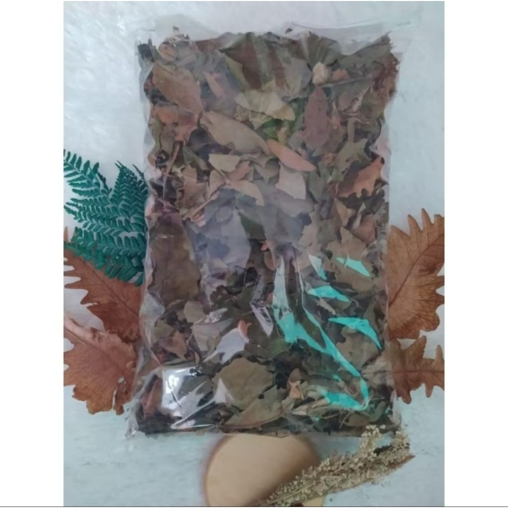 

BENALU ALPUKAT KERING ORGANIK 1.KG