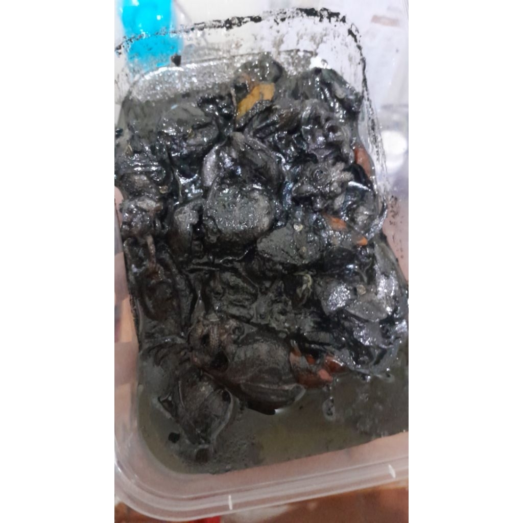 

CUMI HITAM BLAKUTAK